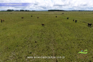 Criado em galpão-Os Serranos [VDownloader].00_02_41_24.Quadro043_56d551dad06779203d6fa99be1bb3dc0e7b492c9.jpg